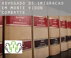 Advogado de imigração em  Monte Vidon Combatte