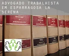 Advogado trabalhista em  Esparragosa de la Serena