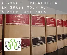 Advogado trabalhista em  Grass Mountain Summer Home Area