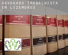 Advogado trabalhista em Lizemores