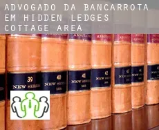 Advogado da bancarrota em  Hidden Ledges Cottage Area