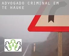 Advogado criminal em  Te Hauke