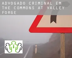 Advogado criminal em  The Commons at Valley Forge