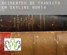 Acidentes de trânsito  em  Skyline North