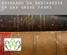 Advogado da bancarrota em  Oak Grove Farms