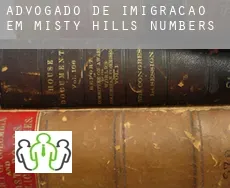 Advogado de imigração em  Misty Hills Numbers 8-10