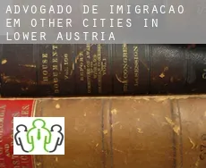Advogado de imigração em Other Cities in Lower Austria
