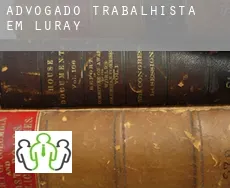 Advogado trabalhista em  Luray