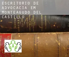 Escritório de advocacia em  Monteagudo del Castillo