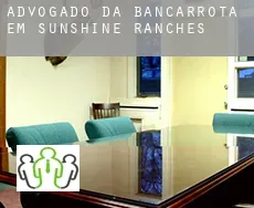 Advogado da bancarrota em  Sunshine Ranches