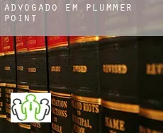Advogado em  Plummer Point