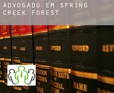 Advogado em  Spring Creek Forest