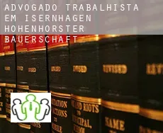 Advogado trabalhista em  Isernhagen Hohenhorster Bauerschaft