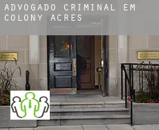 Advogado criminal em  Colony Acres