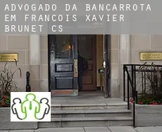 Advogado da bancarrota em  François-Xavier-Brunet (census area)