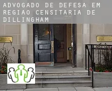 Advogado de defesa em Região Censitária de Dillingham