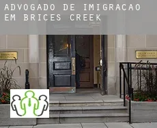 Advogado de imigração em  Brices Creek