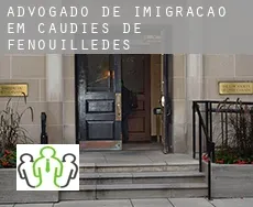 Advogado de imigração em  Caudiès-de-Fenouillèdes