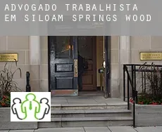 Advogado trabalhista em  Siloam Springs Wood