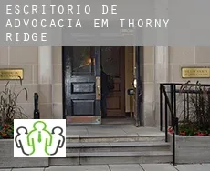 Escritório de advocacia em  Thorny Ridge