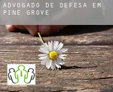 Advogado de defesa em Pine Grove