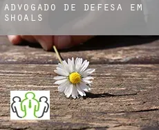 Advogado de defesa em  Shoals