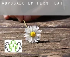 Advogado em  Fern Flat