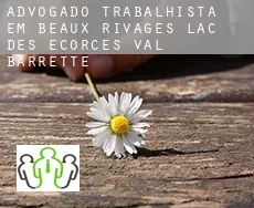 Advogado trabalhista em  Beaux-Rivages--Lac-des-Écorces--Val-Barrette