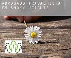 Advogado trabalhista em  Smoky Heights