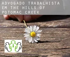 Advogado trabalhista em  The Hills of Potomac Creek