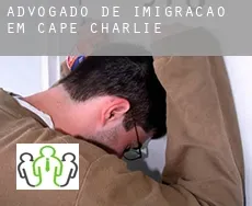 Advogado de imigração em  Cape Charlie