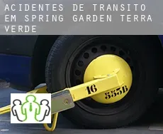 Acidentes de trânsito  em  Spring Garden-Terra Verde