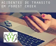 Acidentes de trânsito  em  Forest Creek