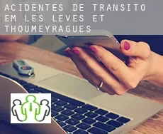 Acidentes de trânsito  em  Les Lèves-et-Thoumeyragues
