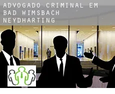 Advogado criminal em  Bad Wimsbach-Neydharting