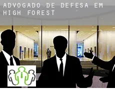 Advogado de defesa em  High Forest