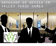 Advogado de defesa em  Valley Forge Homes