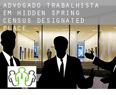 Advogado trabalhista em  Hidden Spring