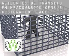 Acidentes de trânsito  em  Meadowbrook