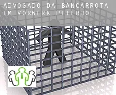 Advogado da bancarrota em  Vorwerk Peterhof