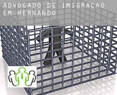 Advogado de imigração em Hernando