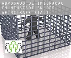 Advogado de imigração em  Neustadt an der Weinstraße Stadt