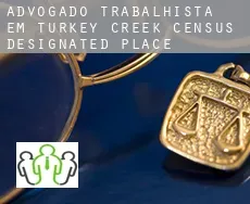 Advogado trabalhista em  Turkey Creek