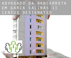 Advogado da bancarrota em  Garza-Salinas II