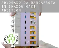 Advogado da bancarrota em  Shadow Oaks Addition