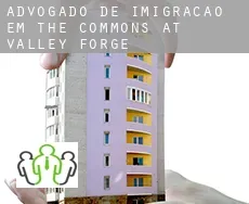Advogado de imigração em  The Commons at Valley Forge