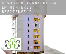 Advogado trabalhista em  Hinteres Breitenfeld