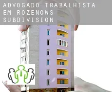 Advogado trabalhista em  Rozenow's Subdivision