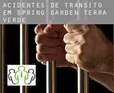 Acidentes de trânsito  em  Spring Garden-Terra Verde