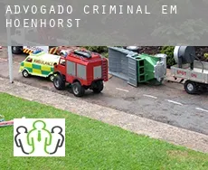 Advogado criminal em  Hoenhorst